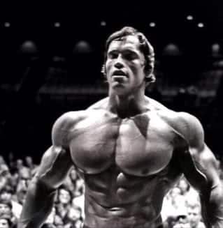Arnold Schwarzenegger Posing
