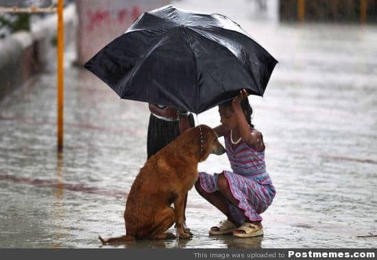 generosity, gil being kind to a dog