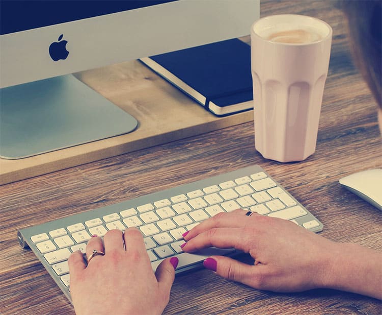 freelance writer