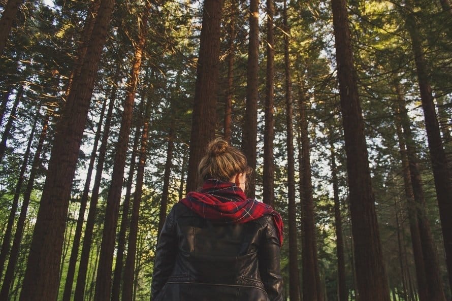 Things You Must Do To Have a Successful Life