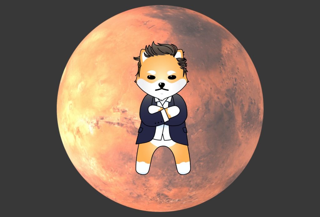 how to buy dogelon mars