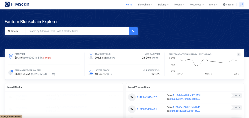 step 1, ftmscan blockhain explorer website