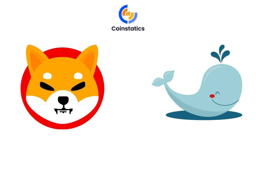 shiba inu 3.38 trillion whale move