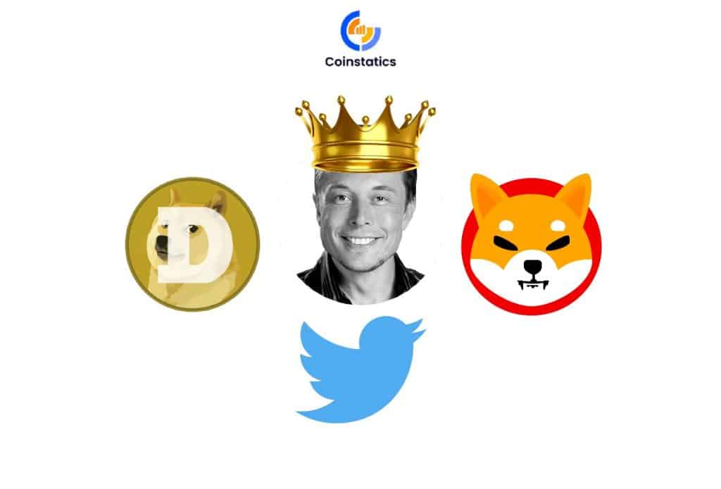 memecoins elon musk