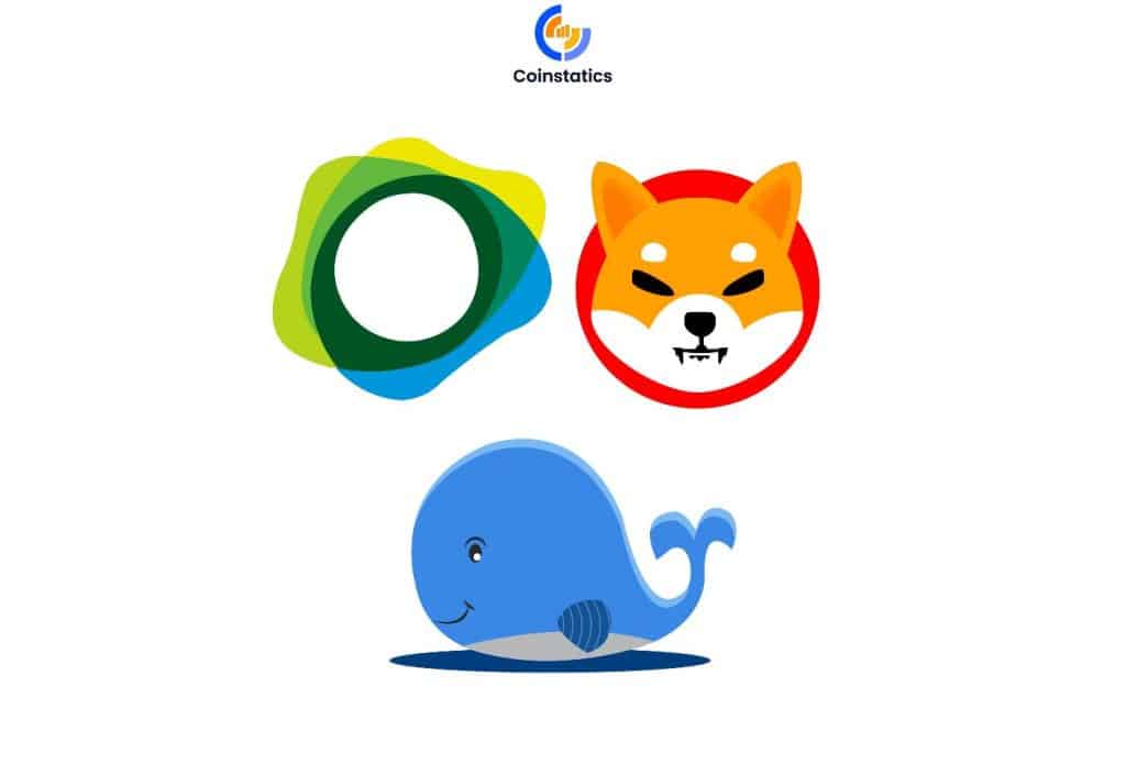Ethereum Whale Shiba Inu